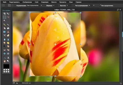 Cum de a reduce obiectul în Photoshop rapid si profesional