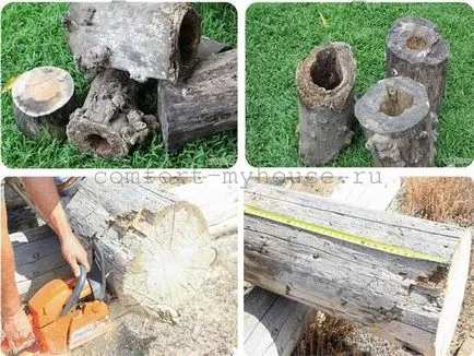 Cum de a decora un ciot de copac în grădină 1 (decora gradina bont) Cum de a decora un ciot de copac în grădină 1