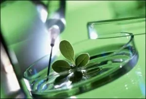 Lista de medicamente tranchilizante, clasificare, anxiolitice, puternice în timpul zilei și a altor grupuri (în timpul zilei) Lista de medicamente tranchilizante, clasificare, anxiolitice, puternice în timpul zilei și a altor grupuri
