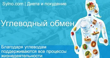 metabolismul carbohidraților în corpul uman - cum să construiască în mod corect și eficient musculare