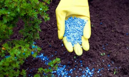 fertilizare