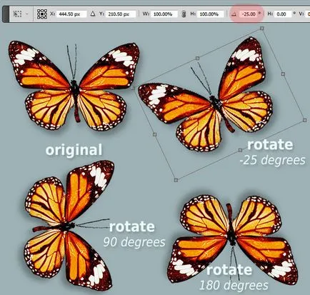 Aflați cum să se rotească obiecte în Photoshop - Elementele de bază ale Photoshop (text) Aflați cum să se rotească obiecte în Photoshop - Elementele de bază ale Photoshop