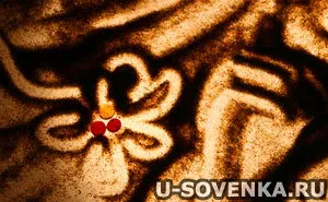 Desen Lecții №5