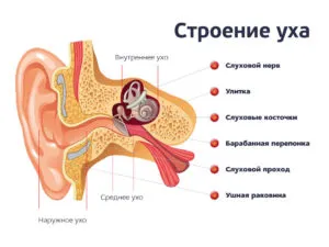 Copilul are o durere în ureche ce să facă bebiklad (copil) Copilul are o durere în ureche ce să facă bebiklad