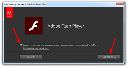 Instalați Adobe Flash Player ultima versiune