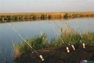 Aflați cum să construiască un alimentator de a face față cu propriile lor mâini (puteți prinde aproape orice) Aflați cum să construiască un alimentator de a face față cu propriile lor mâini