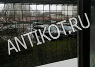 Paddock pe fereastra pisica (balcon) în Moscova (padoc) Paddock pe fereastra pisica (balcon) la Moscova