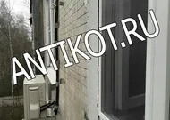 Paddock la fereastra pentru pisici (balcon) la Moscova (în caseta pentru pisici paddock) Paddock pe fereastra pisica (balcon) la Moscova