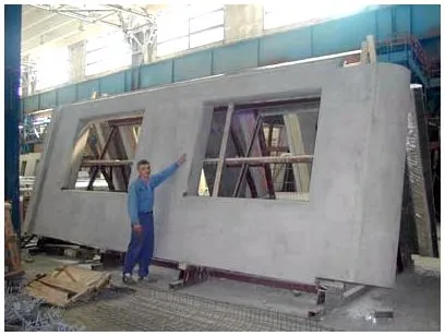 Tipuri de structuri din beton armat în special elemente de
