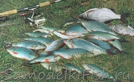 pescuit de primăvară pe râu - pescuit de casă cu mâinile (râul) pescuit de primăvară pe râu - pescuit de casă cu mâinile lor