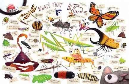 specii de insecte cu nume