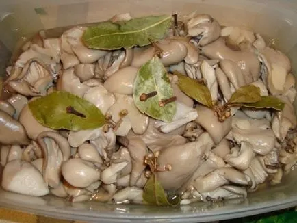 Oyster - pregătirea „delicatese“ utile