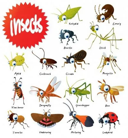 specii de insecte cu nume
