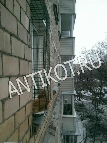 Paddock la fereastra pentru pisici (balcon) la Moscova (fereastra) Paddock pe fereastra pisica (balcon) la Moscova
