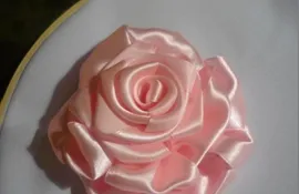 panglici de brodat trandafiri master-class pentru începători tablouri cu imagini și video