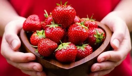 Cultivarea căpșuni pe tot parcursul anului în seră la domiciliu (seră) Cultivarea căpșuni pe tot parcursul anului în seră la domiciliu