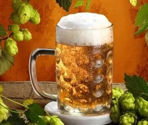 fertilizării foliare plante de interior, înflorită-blog (dressing) fertilizării foliare plante de interior, flori-blog