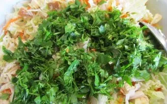 salata delicioasa cu retete branza mezeluri cu bastoane crabi, morcovi, roșii (cârnați) salata delicioasa cu retete branza mezeluri cu bastoane crabi, morcovi, roșii