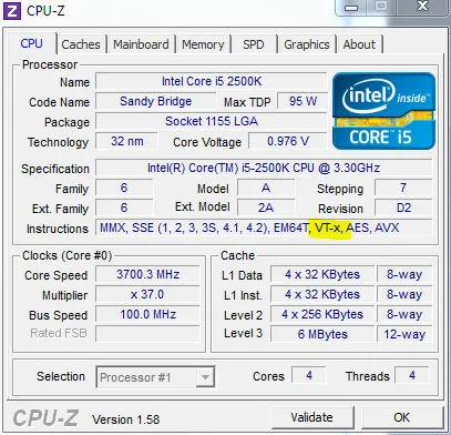 Vmware stație de lucru că este vorba