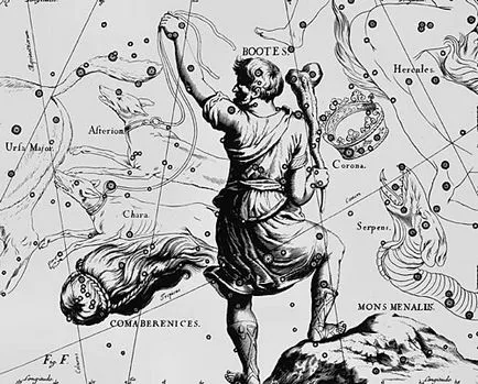 Coma Berenices (constelație)