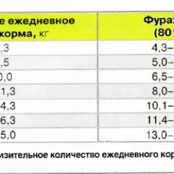 Totul despre caii de alimentare care mananca furaje prezentare generală, elementele de bază și meniul de dieta (revizuire) Totul despre hrănirea cailor care mananca furaje prezentare generală, elementele de bază și meniuri dietetice