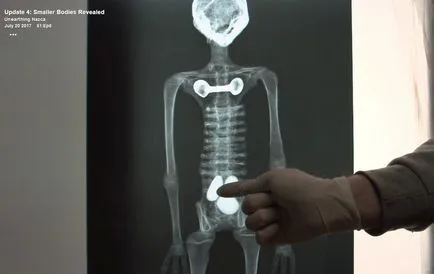 Rețeaua are fotografii de la locul unde au fost găsite - străin - mumii Nazca - freedomnews