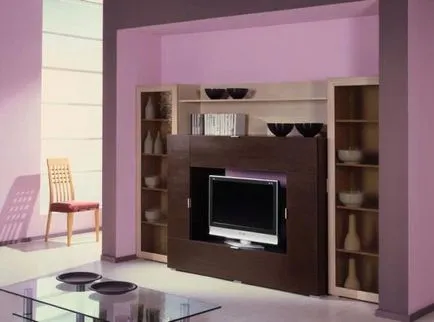 Built-in mobilier pentru camera de zi - o fotografie și o (camera de zi) Descriere Built-in mobilier pentru camera de zi - o fotografie și descrierea