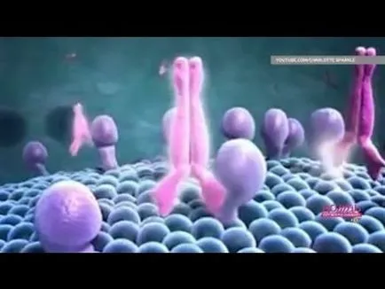 Chimioterapia metastaze în ficat și reconstituire după chimioterapie