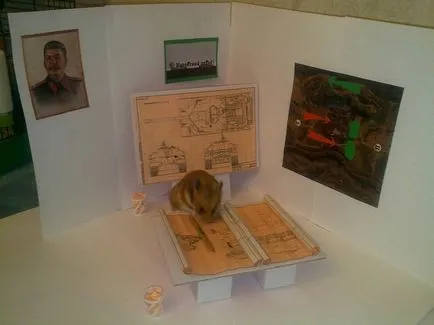 hamster sirian, rozătoare inteligente
