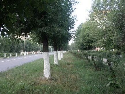 De ce am nevoie pentru a picta copaci, pictura de copaci în toamna