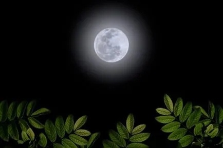 Parcele de luna nouă pe iubirea unui om, bogăție, bani