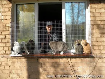 Ascuți casa sub Koshak - 004