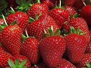 Cum să aibă grijă de plantare Victoria, udare și fertilizare