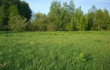 cota de teren - ceea ce este, de înregistrare, contract de închiriere și vânzare