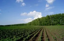 cota de teren - ceea ce este, de înregistrare, contract de închiriere și vânzare