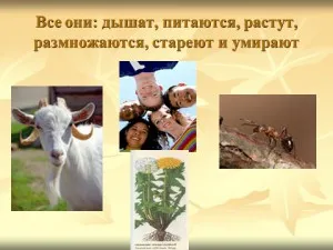 Animați și natura neînsuflețită a corpului, prezentarea geografiei (a corpului) Animați și natura neînsuflețită a corpului, prezentarea geografie
