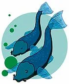 Pesti, semnul caracteristic al peștelui de zodiac, data (horoscop astrologie semn zodiacal Berbec Taur Gemeni Rac Leu Fecioara Balanta Scorpion Sagetator Capricorn Varsator Pesti de sex masculin de sex feminin predicțiile soarta caractere) Pesti, semnul caracteristic al peștelui de zodiac, datele