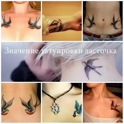 Înțeles rândunică tatuaj - sensul, istorie si foto tatuaj (valoare) Înțeles rândunică tatuaj - sensul, istorie și tatuaj fotografie