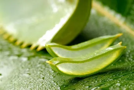 Injecțiile de aloe în ghidul de ginecologie