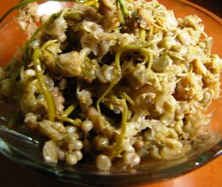 Dzhondzholi-l Dzhondzholi-l