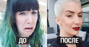 Fără cum ar fi pisicile Fără cum ar fi pisicile