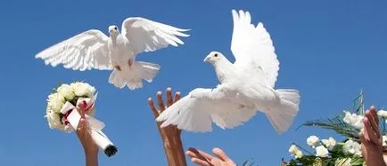 Doves pentru nunti Doves pentru nunti
