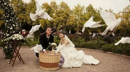 Doves pentru nunti Doves pentru nunti