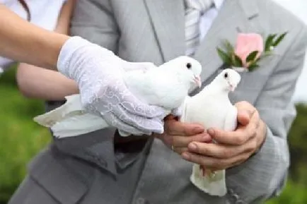 Doves pentru nunti Doves pentru nunti