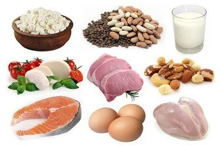 Proteinele sunt ce fel de produse Proteinele sunt ce fel de produse