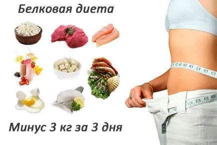 Proteinele sunt ce fel de produse