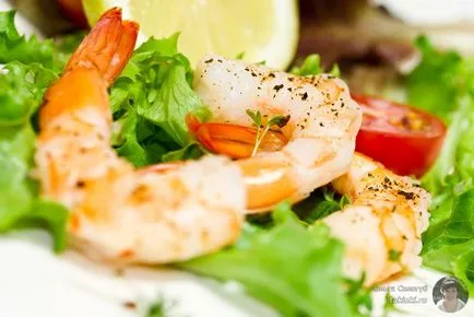 Proteinele sunt ce fel de produse Proteinele sunt ce fel de produse