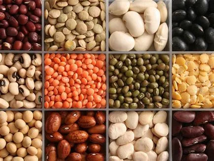 Proteinele sunt ce fel de produse Proteinele sunt ce fel de produse