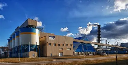 Compania este diferit de organizație