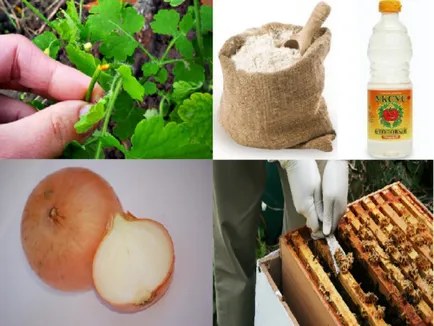 Cum de a elimina negii plantare Cum de a elimina negii plantare